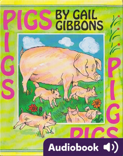 Pigs
