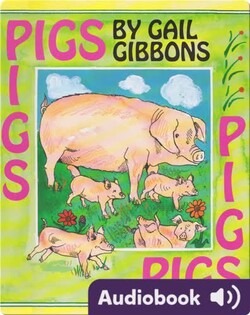 Pigs