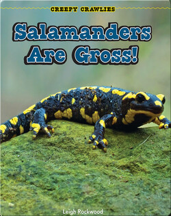 Salamanders Are Gross!