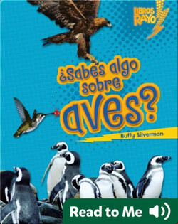 ¿Sabes algo sobre aves? (Do You Know about Birds?)