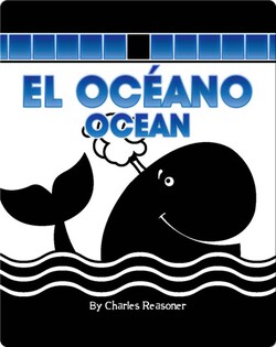 El Océano (Ocean)