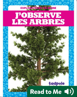 J’observe les arbres