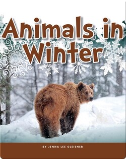 Animals in Winter