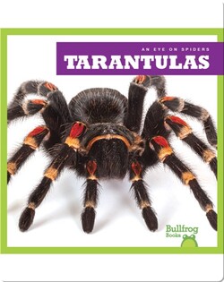 Tarantulas