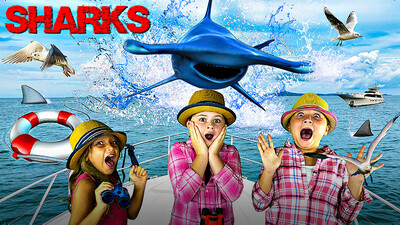 Learn About Sharks for Kids | Fun Facts About Hammerhead Sharks!