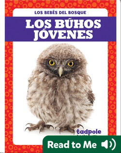 Los búhos jóvenes