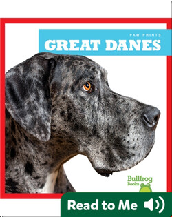Great Danes