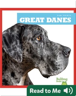 Great Danes