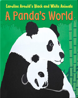 A Panda's World