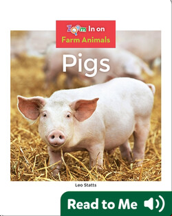 Pigs