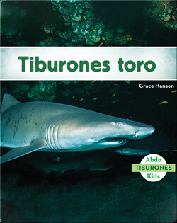 Tiburones toro