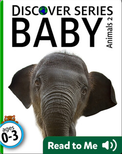 Baby Animals 2