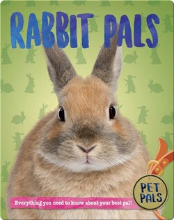 Rabbit Pals