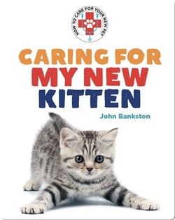 Caring for My New Kitten