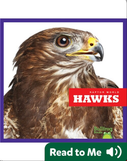 Raptor World: Hawks