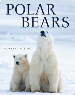 Polar Bears