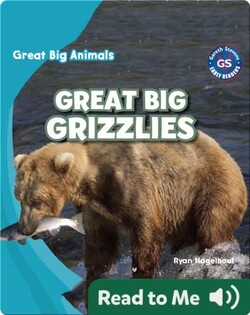 Great Big Grizzlies