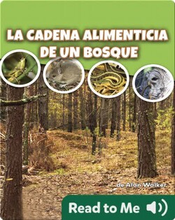 La cadena alimenticia de un bosque