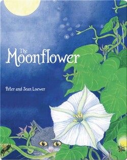 The Moonflower