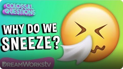 Why Do You Sneeze? | COLOSSAL QUESTIONS