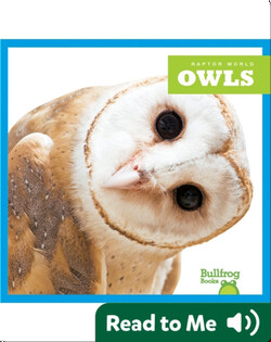 Raptor World: Owls