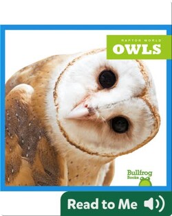 Raptor World: Owls