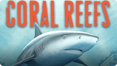 Coral Reefs: A Journey Through an Aquatic World Full of Wonder