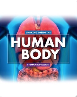 Looking at Layers: Looking Inside the Human Body