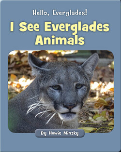 Hello, Everglades!: I See Everglades Animals