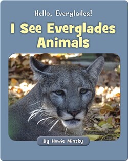 Hello, Everglades!: I See Everglades Animals