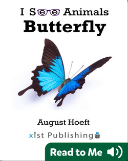 I See Animals: Butterfly