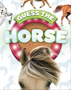 Guess the Horse