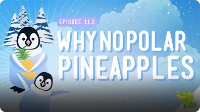 Crash Course Kids: Why No Polar Pineapple
