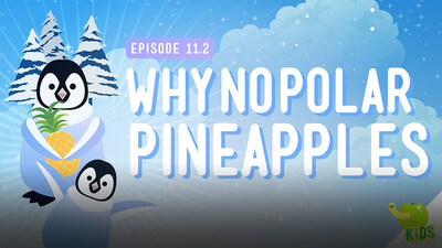 Crash Course Kids: Why No Polar Pineapple