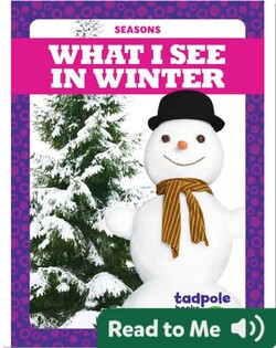 Seasons: What I See in Winter