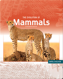 The Evolution of Mammals
