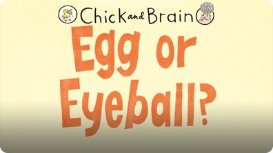 Chick and Brain: Egg or Eyeball?