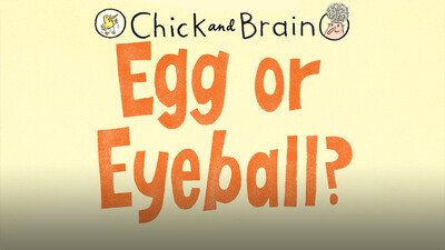 Chick and Brain: Egg or Eyeball?