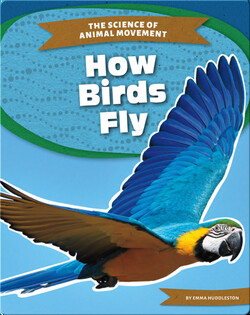 The Science of Animal Movement: How Birds Fly
