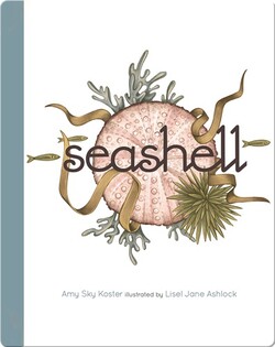 Seashell