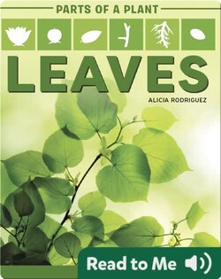 Parts of a Plant: Leaves