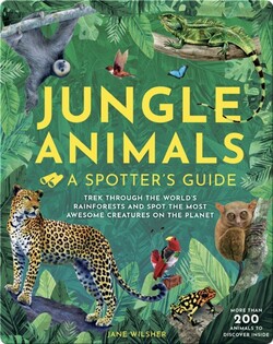 Jungle Animals: A Spotter's Guide