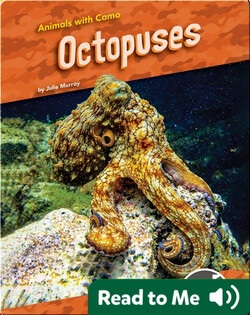 Animals With Camo: Octopuses