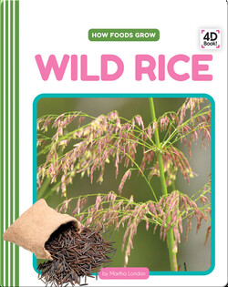 How Foods Grow: Wild Rice