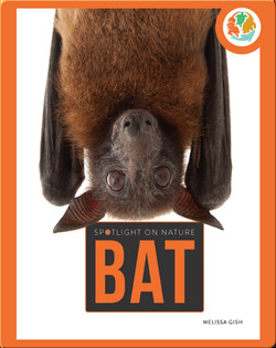 Spotlight on Nature: Bat