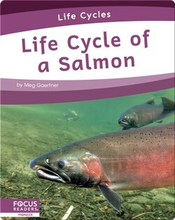Life Cycle of a Salmon