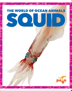 The World of Ocean Animals: Squid