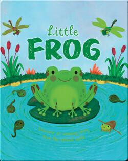 Little Frog