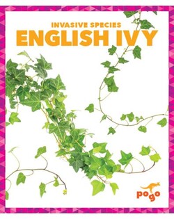 Invasive Species: English Ivy