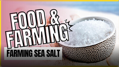 Food and Farming: Farming Sea Salt